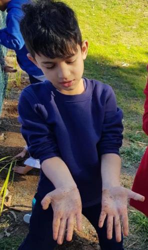 2018 National Tree Day
